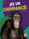 Cover image for ¡Es un chimpancé! (It's a Chimpanzee!)